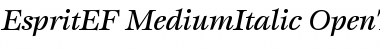 EspritEF MediumItalic Font