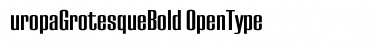 EuropaGrotesqueBold Regular Font