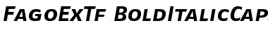FagoExTf BoldItalicCaps Font