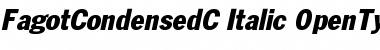 FagotCondensedC Italic Font