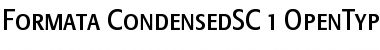 Formata Condensed Small Caps & Oldstyle Figures Font