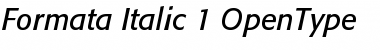 Formata Italic Font