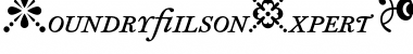 FoundryWilsonExpert Italic