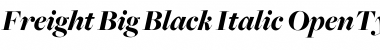 Freight Big Black Italic Font