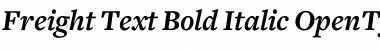 Freight Text Bold Italic Font