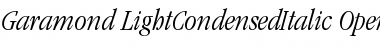 ITC Garamond Light Condensed Italic Font