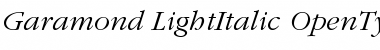 ITC Garamond Light Italic Font