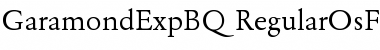 Garamond Expert BQ Font