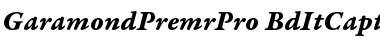 Garamond Premier Pro Bold Italic Caption