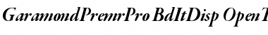 Garamond Premier Pro Bold Italic Display