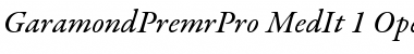 Garamond Premier Pro Medium Italic
