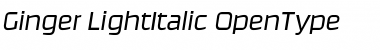 Ginger-LightItalic Font