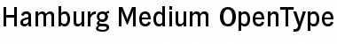 Hamburg-Medium Regular Font