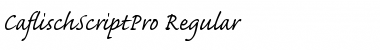 Caflisch Script Pro Regular Regular Font