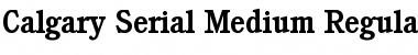 Calgary-Serial-Medium Regular Font