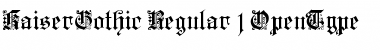 KaiserGothic Font