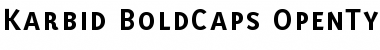 Karbid BoldCaps Font