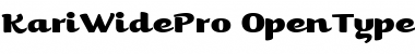 Kari Wide Pro Font