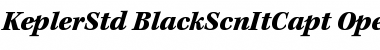 Kepler Std Black Semicondensed Italic Caption Font