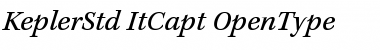 Kepler Std Italic Caption Font