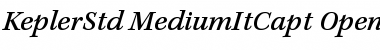 Kepler Std Medium Italic Caption Font
