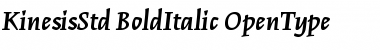 Kinesis Std Bold Italic Font