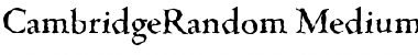 CambridgeRandom-Medium Font