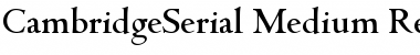 CambridgeSerial-Medium Font