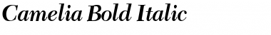 Camelia Bold Italic Font