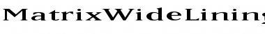 MatrixWideLining Font