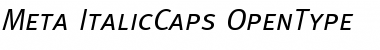 Meta ItalicCaps Font