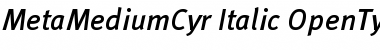 MetaMediumCyr-Italic Font