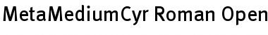 MetaMediumCyr-Roman Font