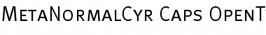 MetaNormalCyr-Caps Regular Font