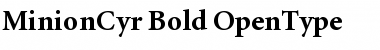 Minion Cyrillic Bold Font