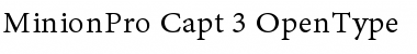Minion Pro Caption Font