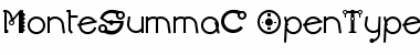 MonteSummaC Font