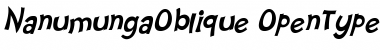 Nanumunga Oblique Font