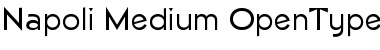Napoli-Medium Regular Font