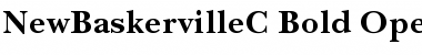NewBaskervilleC Font