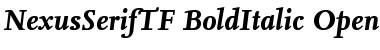 NexusSerifTF-BoldItalic Font