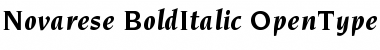 ITC Novarese Bold Italic Font