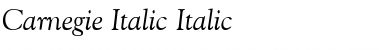 Carnegie-Italic Font
