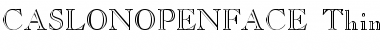 CASLONOPENFACE-Thin Font