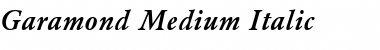 Garamond Medium-Italic Font