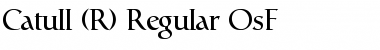 Catull Expert BQ Regular Font