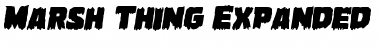 Marsh Thing Expanded Italic Expanded Italic Font