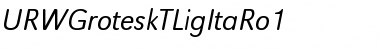URWGroteskTLigItaRo1 Regular Font