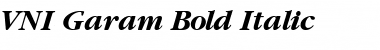 VNI-Garam Bold Italic