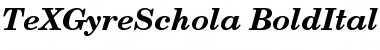 TeX Gyre Schola Bold Italic